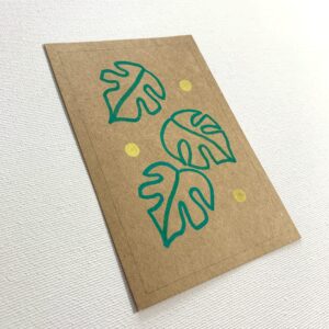 POHĽADNICA - MONSTERA